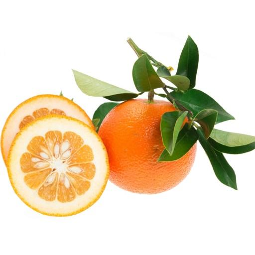 نارنج محلی یک کیلوگرم