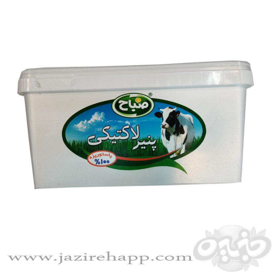 صباح پنیر لاکتیکی ۸۰۰ گرمی